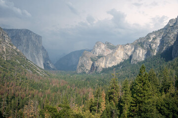 Fototapeta premium landscape with clouds