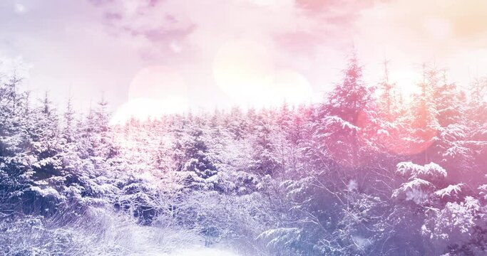 Animation of spots of light over snow falling and winter landscape