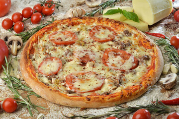 cheese pizza with tomato and mushrooms on wooden table with ingredients background