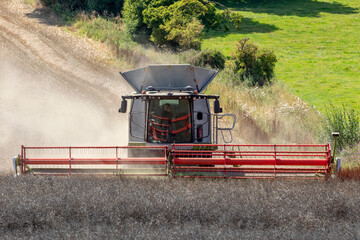 Fototapeta premium Harvest time - Combine harvester cutting a crop of rape seed in the countryside of North Yorkshire, England.