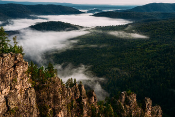 Fog in the mountains at sunrise. Morning fog in the mountains at dawn. Clouds in the mountains. Morning fog after rain. Mountains at dawn. Milk rivers. Copy space
