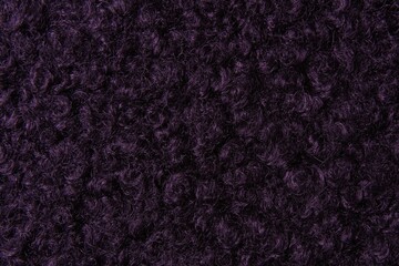 Purple karakul background from warm woolen fabric