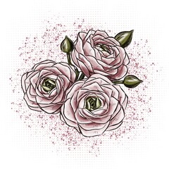 Romantic bouquet of ranunculus flowers on a white background with pink dots and splashes