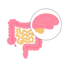 Gut brain connection