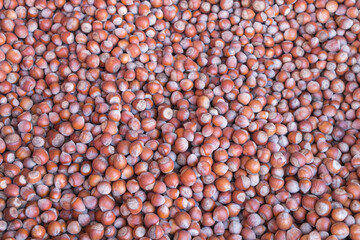 hazelnuts close-up as a background for the whole frame