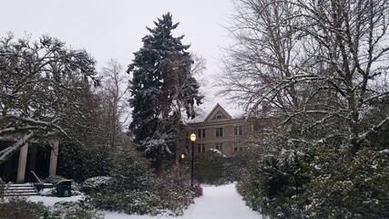 Winter in the Pacific North West