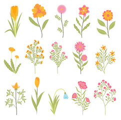 Spring flowers. Botanical floral design set. Garden floral plants on white background. Colorful flat  illustration. Good decoration for wedding invitations or scrapbook