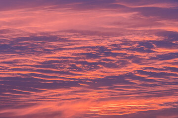 Pink cloudscape during spring susnet