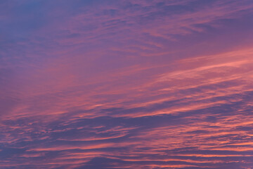 Pink cloudscape during spring susnet