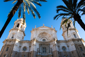 Catedral de Cádiz entre palmeras