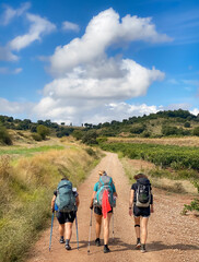 Fototapeta na wymiar Three Pilgrim Women Walking the Way of St James Pilgrimage Trail Camino de Santiago through the Picturesque Landscapes of La Rioja