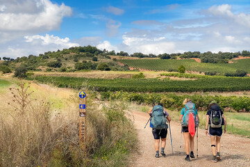 Pilgrims with Hiking Gear Walking past Vinyeards of La Rioja along the Way of St James Pilgrimage Trail Camino de Santiago - obrazy, fototapety, plakaty