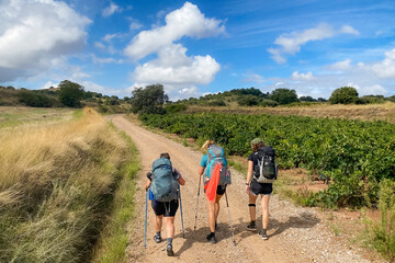 Three Pilgrim Women Walking the Way of St James Pilgrimage Trail Camino de Santiago through Picturesque Landscapes of La Rioja - obrazy, fototapety, plakaty
