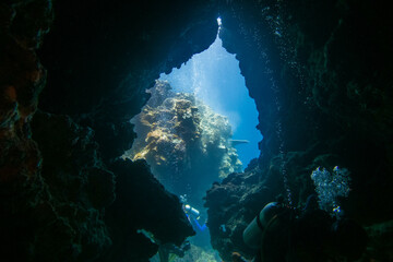 フィリピン、セブ島の南西部にあるモアルボアルでダイビングする風景 Scenery of diving in Moalboal, southwest of Cebu Island, Philippines.