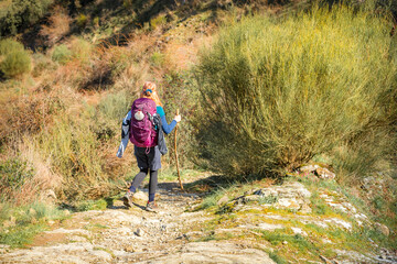 Pilgrim Girl Hiking down a Hill outside Molinaseca Spain along tthe Way of St James Pilgrimage Trail Camino de Santiago