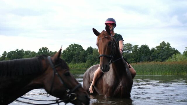 horse with female rider standing in lake water