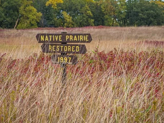 Foto op Plexiglas Native prairie restoration sign surrounded by prairie grasses and other plants in fall © travelgalcindy