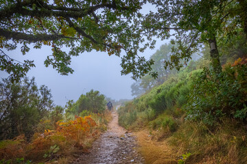 Fototapeta premium Fog and Mist in Montes de Leon over the the Way of St James Pilgrimage Trail Camino de Santiago