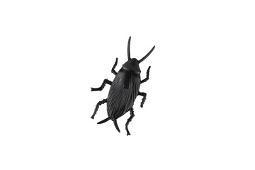 Toy plastic black cockroach, isolated on white background
