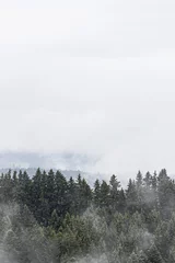 Crédence de cuisine en verre imprimé Forêt dans le brouillard Wald