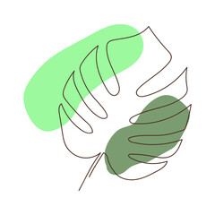 illustration of a green leaf