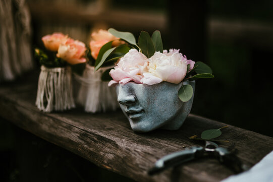 piwonie doniczka głowa ogród dekoracka © Anna
