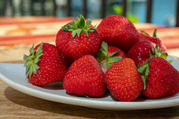 New harvest of fresh ripe red strawberry in Provence, France