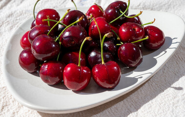 New harvest of fresh ripe dark red cherry berry in Provence, France