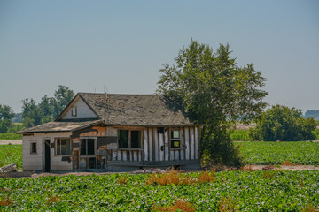 Empty, rundown homes in the countryside of Nyssa, Malheur County, Oregon