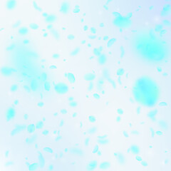 Turquoise flower petals falling down. Graceful rom