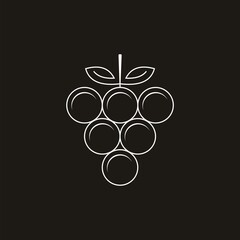inspirational grape fruit logo design