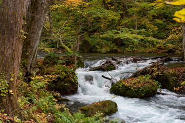秋の山奥の渓流
