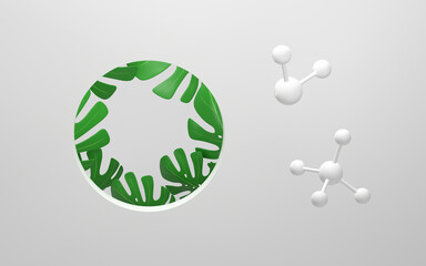 Monstera leaves and white empty room, 3d rendering.