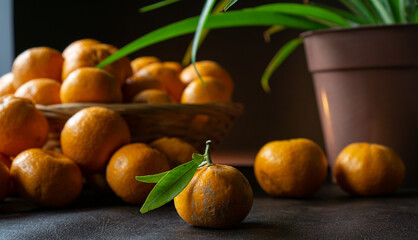a tangerine in the foreground and more tangerines and oranges in a basket in the background.