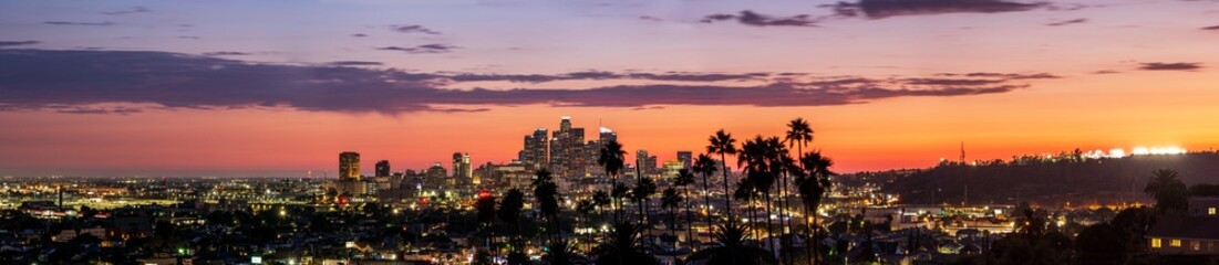 Panorama of Downtown Los Angeles at Sunset with Palm Trees and Clouds