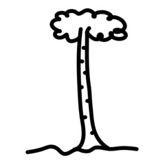 tree and trees icon