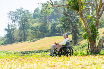 Obraz premium activity, adult, alone, asian, book, care, casual, chair, drawing, elder, elderly, enjoyment, garden, glasses, grandfather, gray hair, happiness, happy, health, health care, healthy, hobbies, japanese