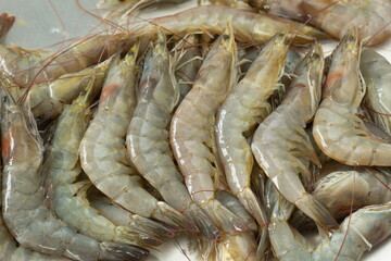 Fresh pacific white shrimp on aluminum tray,fresh food concept.