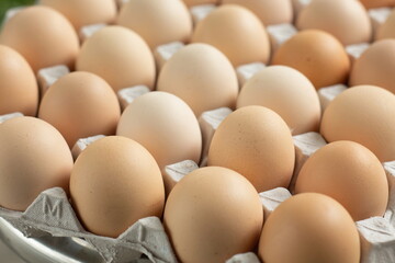 fresh hen eggs in tray paper with close up shot.