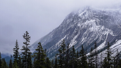 Misted mountain, Icefields Parkway, Alberta, Canada