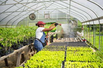 Female farmer watering plants in greenhouse