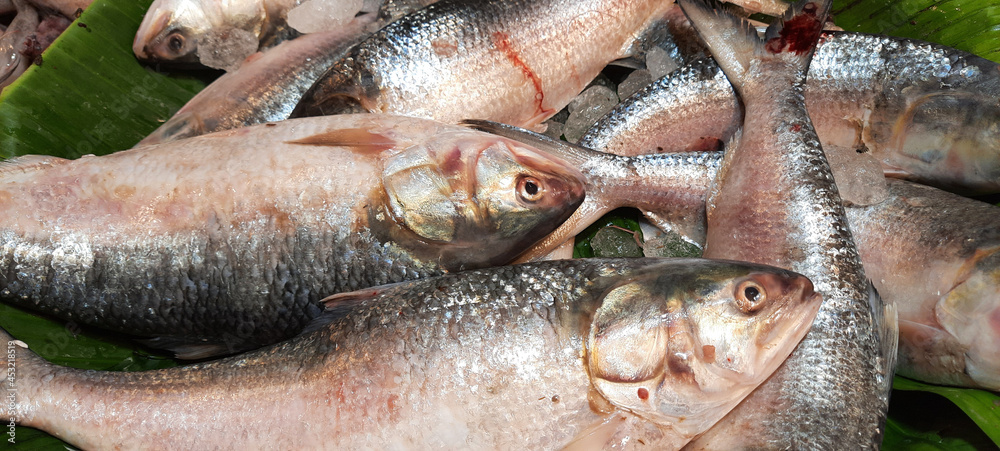 Wall mural Fresh Hilsa Fish Selling in The Market