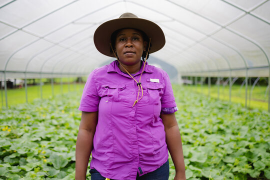 Portrait Of Black Female Farmer In Hat Standing In Greenhouse