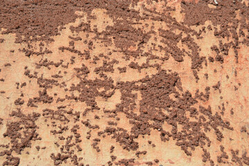 Red-orange painted wall with cinder block texture. Abstract interior background.