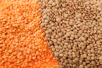 Very Healthy Food; Raw Lentils and Peeled Red Lentils