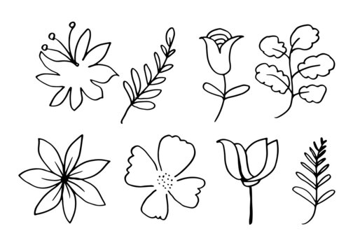 a collection of hand-drawn flower images such as bellflower, chrysanthemums, sunflowers, cotton flowers, and tropical leaves
