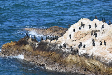 Montana de Oro Park in San Luis Obispo, CA.