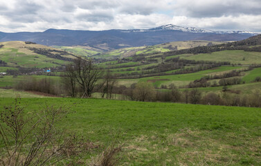 Fototapeta premium Carpathians, Ukraine. Journey in the mountains. Hiking Travel Lifestyle concept beautiful mountains landscape on background Summer vacations activity outdoor. Flock of sheep in the carpathians.