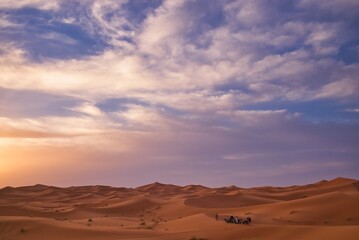 Naklejka na ściany i meble camels of Sahara