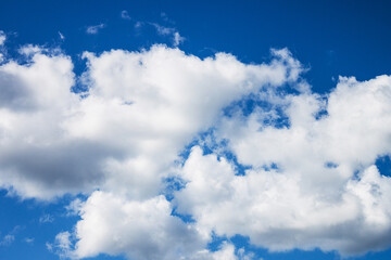 Obraz premium Clouds on a clear sunny summer day.